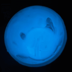 XTAPLAST PLASTISOL LUMINISCENTE BLUE