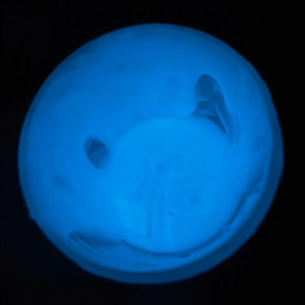XTAPLAST PLASTISOL LUMINISCENTE BLUE