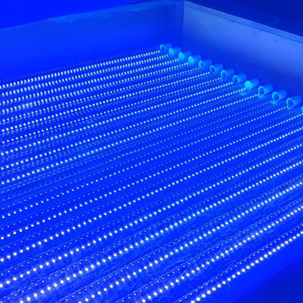 TUBO LED UV-A 400 nm 120cm